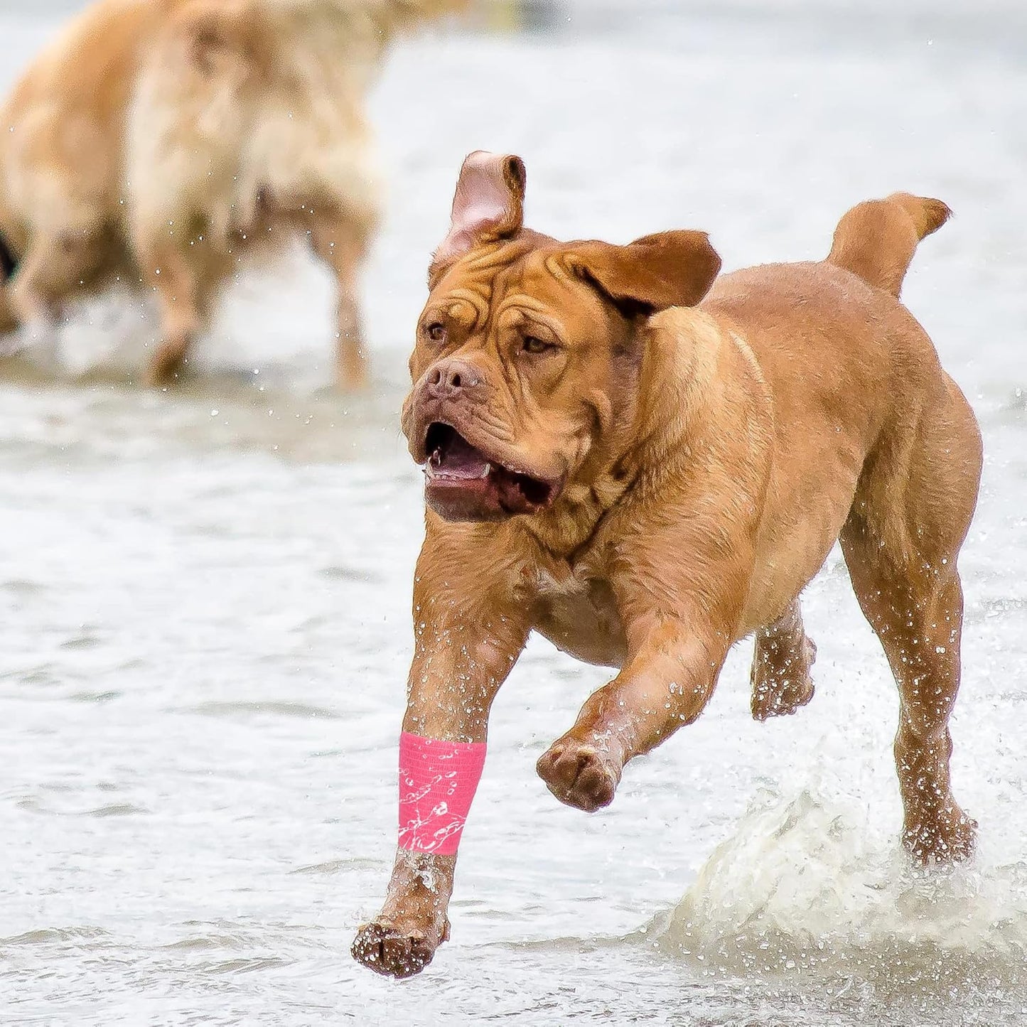 8 Rolls Cohesive Bandage 2” x 5 Yards Self Adherent Bandage Wrap Breathable Vet Tape Elastic Adhesive Bandage for Sports, Wrist, Ankle, Tattoo Wraps(Pink)