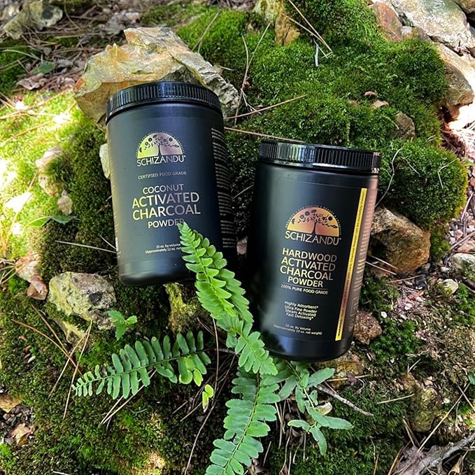 Activated Hardwood Charcoal Powder by Schizandu Vegan 100% | Supports Skin, Body, Teeth Whitening 2-Packs