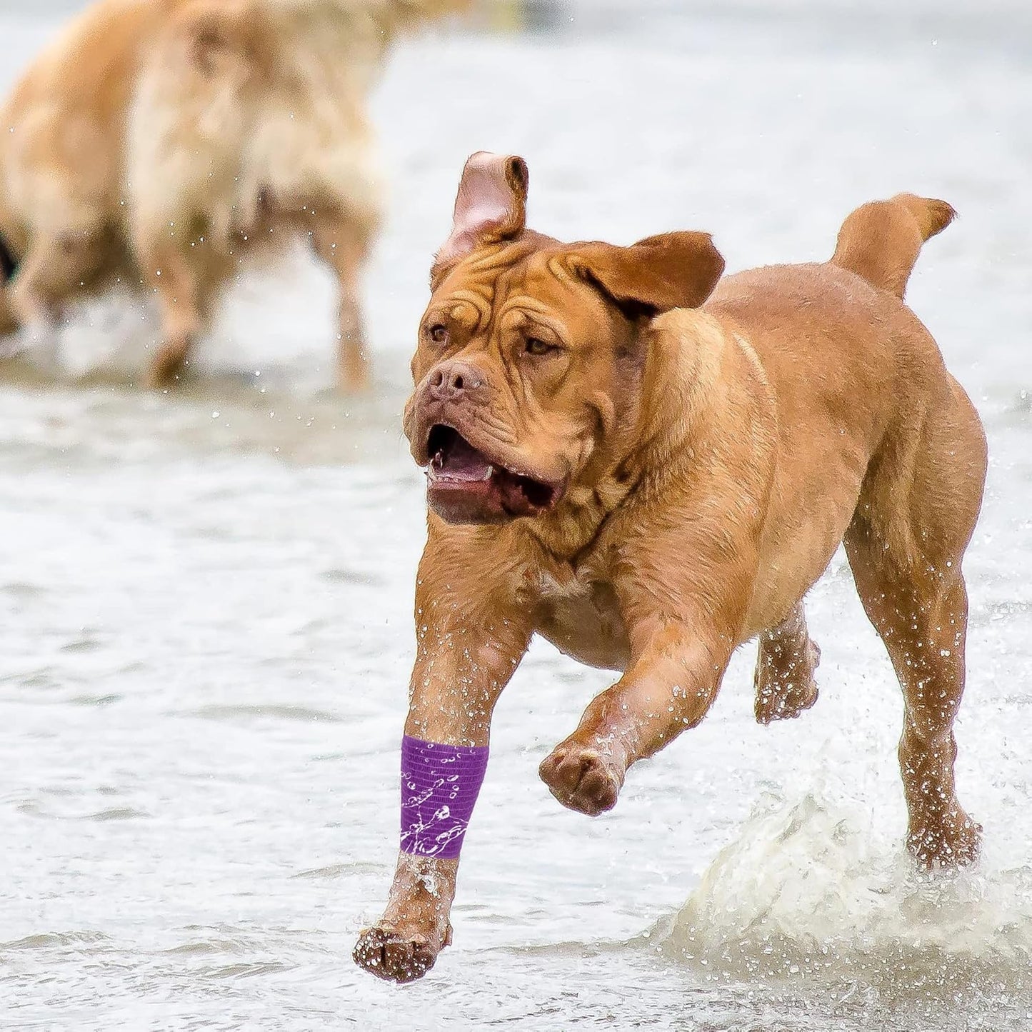 8 Rolls Cohesive Bandage 2” x 5 Yards Self Adherent Bandage Wrap Breathable Vet Tape Elastic Adhesive Bandage for Sports, Wrist, Ankle, Tattoo Wraps(Purple)