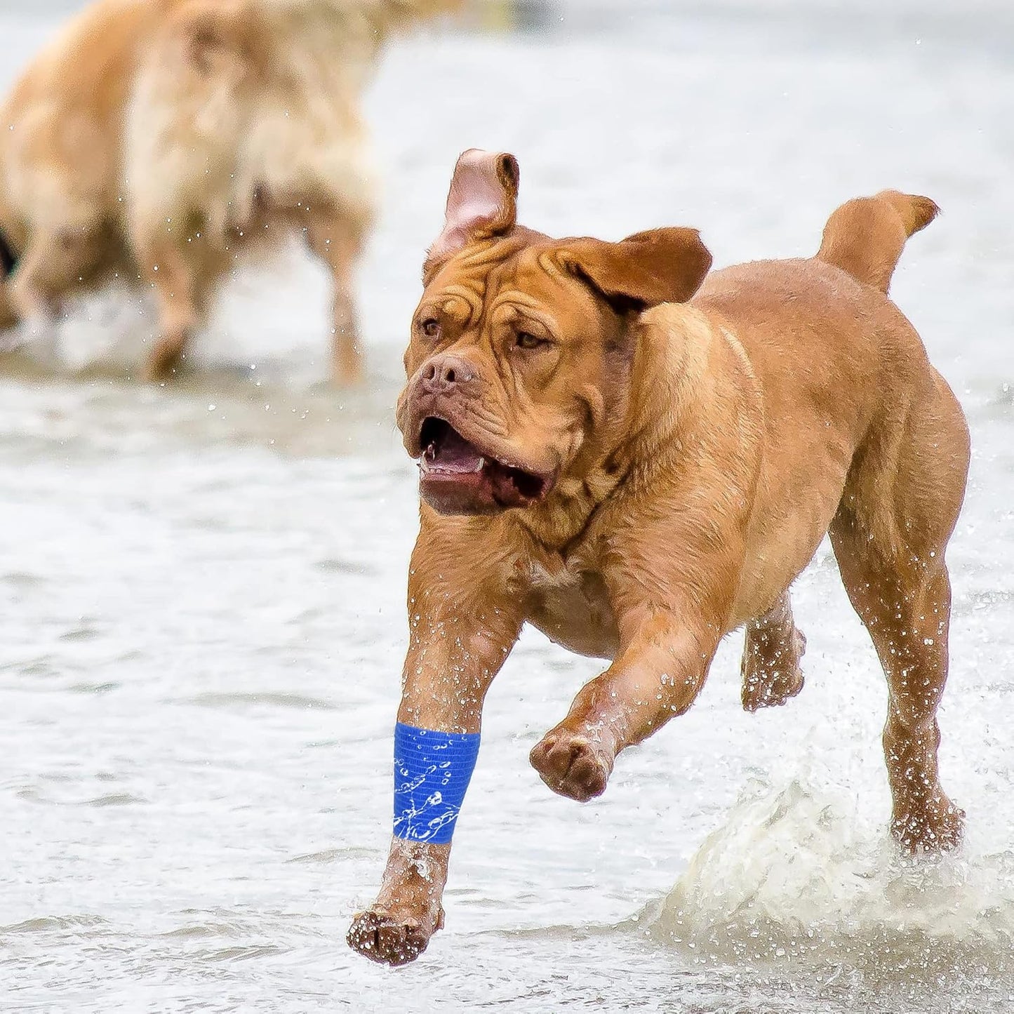 8 Rolls Cohesive Bandage 2” x 5 Yards Self Adherent Bandage Wrap Breathable Vet Tape Elastic Adhesive Bandage for Sports, Wrist, Ankle, Tattoo Wraps(Blue)