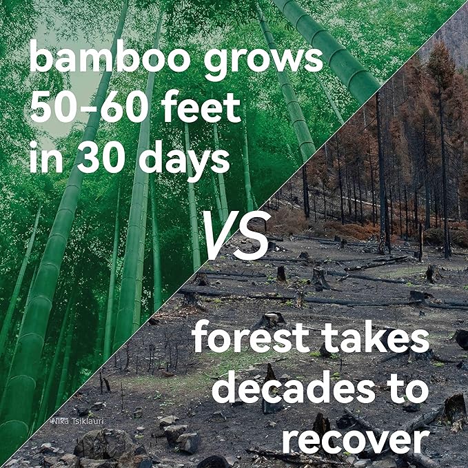 Children Bamboo Toothbrushes for 3 y+ Tots, BPA Free Bristles, Medium Soft, 6 PCS Bamboo Toothbrush for Dental Hygiene, Compostable and Sustainable, Ergonomic Wave-Shaped Handle